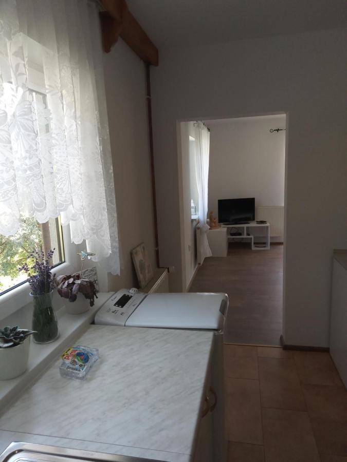 Apartment With A View Bohinjska Bistrica Екстериор снимка